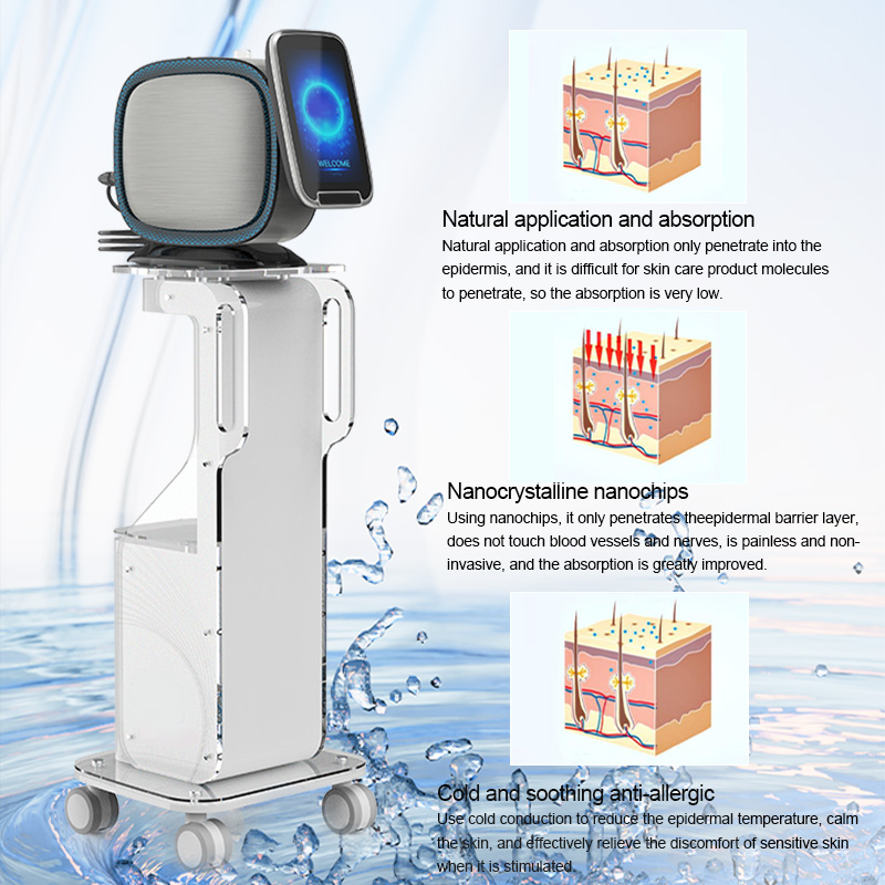 Professional Nano Mesotherapy Sprayer for Skin Rejuvenation